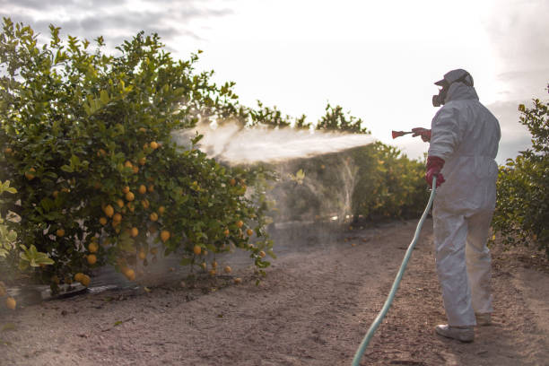 Best Affordable Pest Control Services  in Pleasant Valley, MO